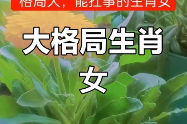 本命年鼠女如何培养积极心态