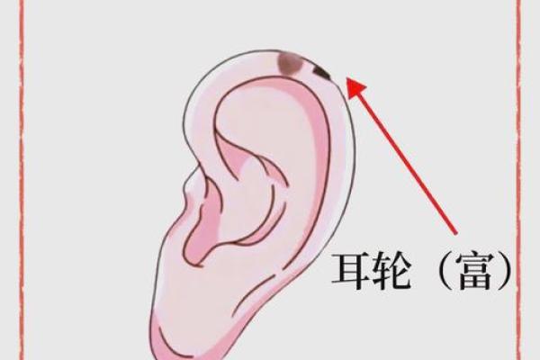 拥有皇后命的女人都有哪些独特的命运轨迹