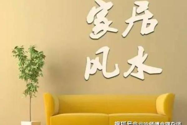 了解家居风水师的专业知识与实践技巧