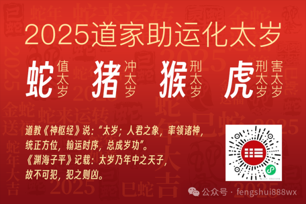 属龙今天的运势分析与建议