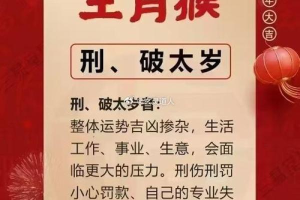 属猴和属蛇的性格匹配度分析