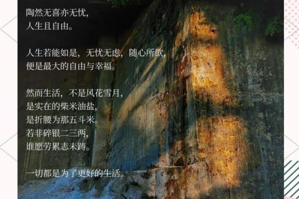 兮，寓意自由与宁静的名字选择