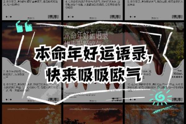 属马人本命年如何增添好运