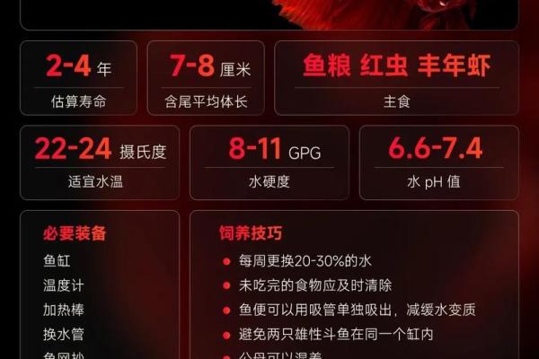 斗鱼名字的创意与个性化命名技巧