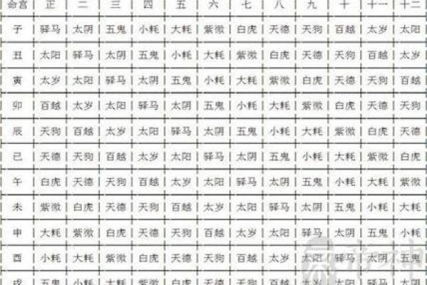 阳命人是如何展现其独特魅力的
