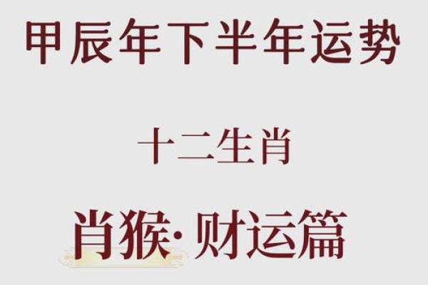 生肖运程解析：属猴人的一年挑战与机遇并存