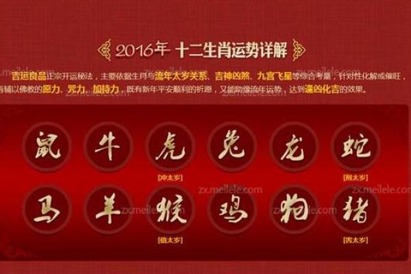 属相与运程的关系：如何根据生肖调整生活规划？