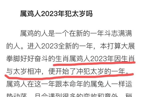 属鸡的本命年，如何抓住创业机会