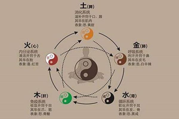 生辰八字斤两算法：教你如何通过八字推算人生的财富与运势
