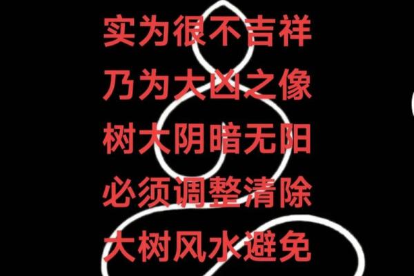 槐树家居风水布局与运势提升的奥秘