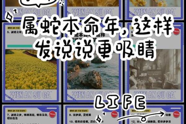 属蛇人本命年如何避免感情中的困扰