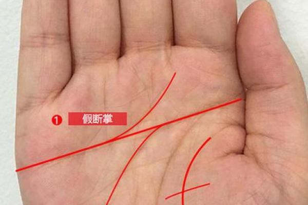 小指的命运之谜：手相分析与人生轨迹