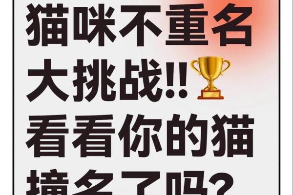 让你的宠物名字更具个性化的五个技巧