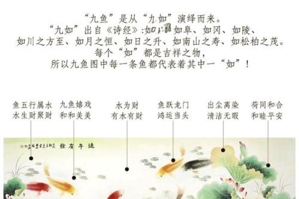 招财风水中有利的吉祥鱼种选择与摆放技巧
