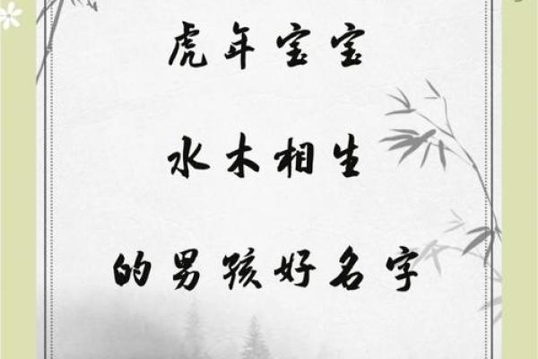 带木的名字男孩：展示坚韧与成长的象征