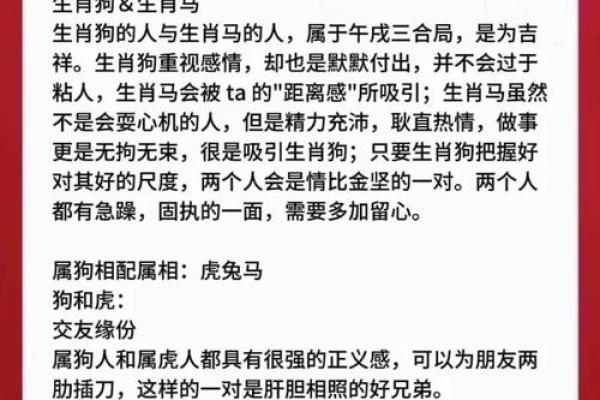 属狗女与属龙男的缘分解析：天作之合还是性格冲突