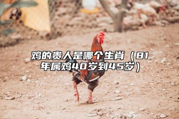 属鸡的朋友如何应对本命年带来的挑战