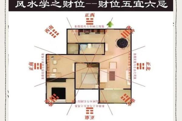 提升财运的摆设风水秘籍 视频教你正确布置