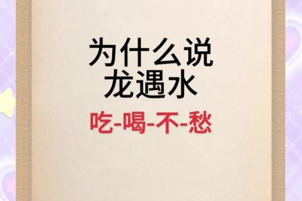属龙本命年健康的饮食与生活方式