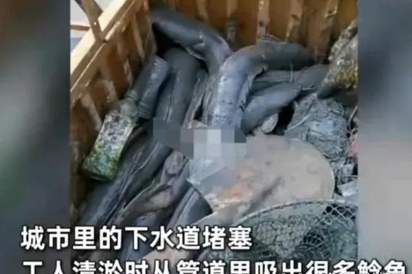下水命的定义与分析