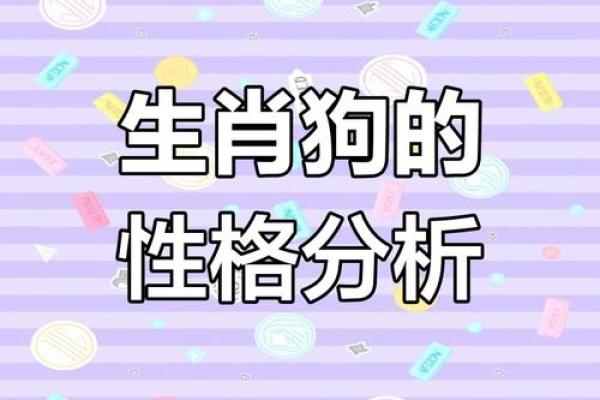 生肖属狗的人命运解析与性格特点分析