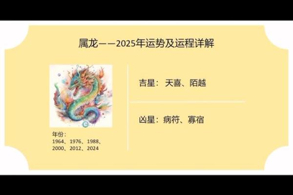 属龙人在的运势如何，注意事项与建议