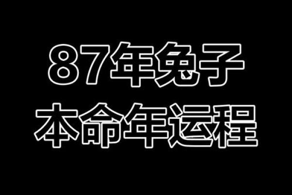 如何让本命年属兔的你运气更旺