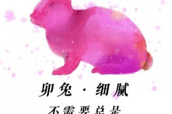属兔人本命年如何处理突发的健康问题