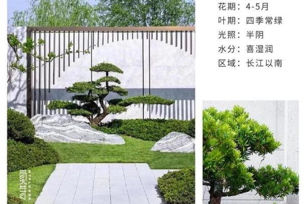 庭院招财风水植物推荐及布局技巧