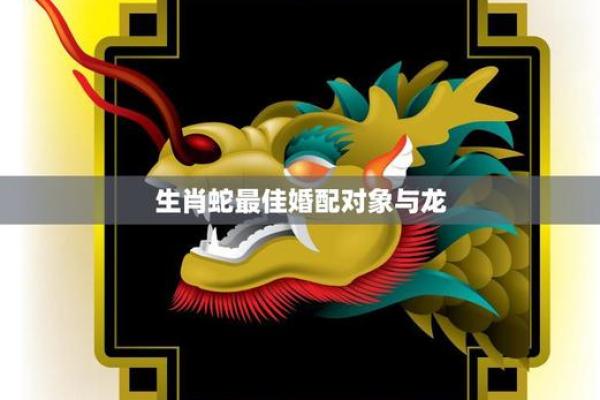 生肖鸡与蛇的缘分探究：天作之合还是相克之局