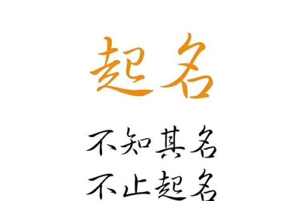 婴儿名字的寓意与个性化选择建议