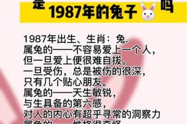 本命年属兔人如何提升自我价值