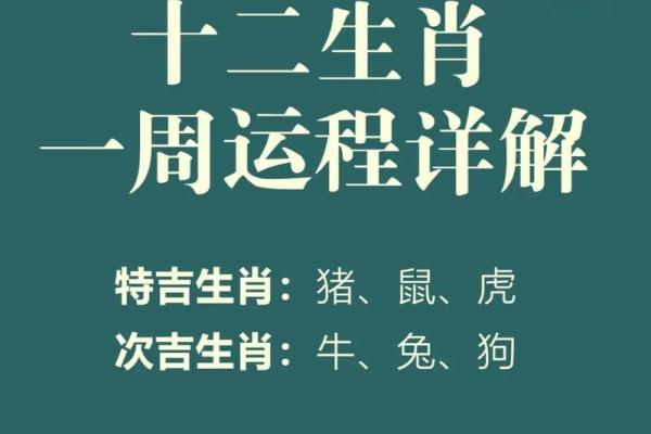 生肖的人在的事业与感情运程