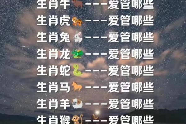 十二生肖事业与感情运势预测