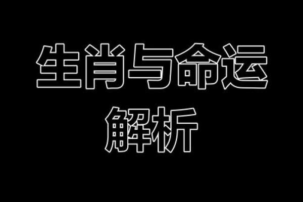 十二月生肖运势全解析：如何抓住的好运机遇
