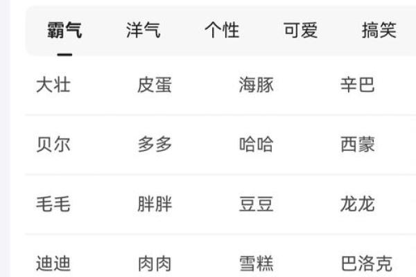 给公狗起名字的创意灵感与建议