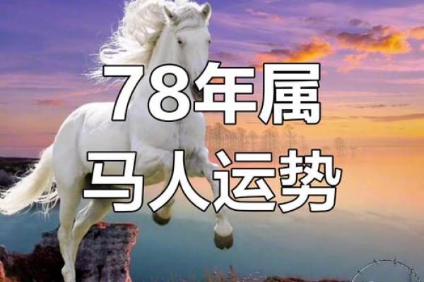 属马人本命年如何收获人生的丰盈