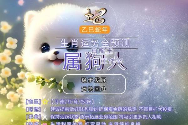 属狗的五行运程详解：今年要注意哪些运势变化