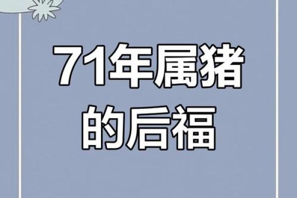 肖猪运程解析：财富与事业的关键年份