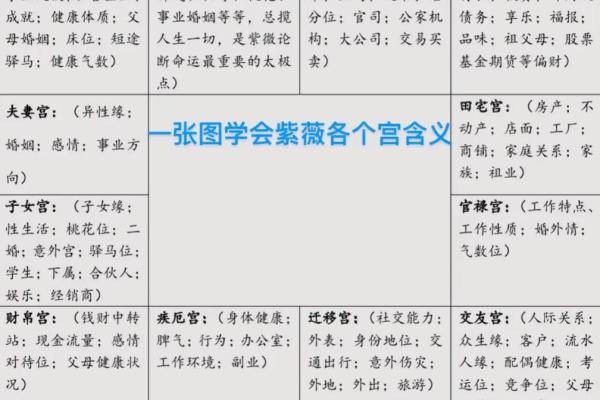 紫微斗数与八字的区别，哪个更能预测命运？