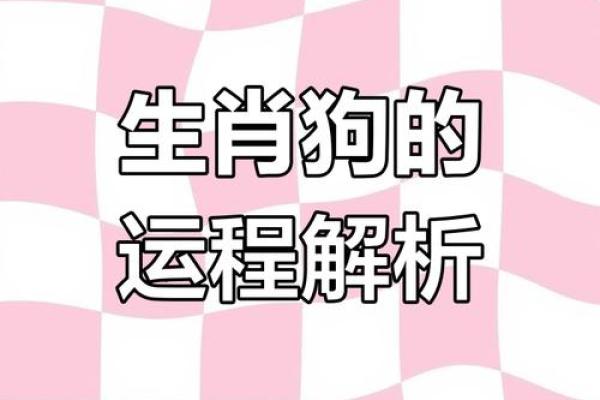 狗年运程预测：的幸运与挑战