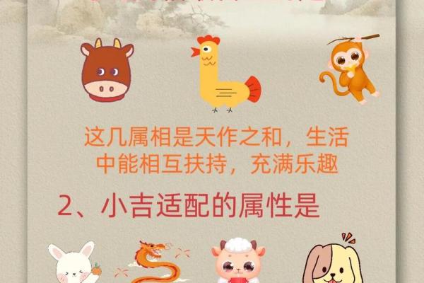 属蛇人在的运势变化及应对策略