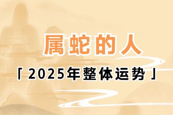 属蛇人在的运势变化及应对策略