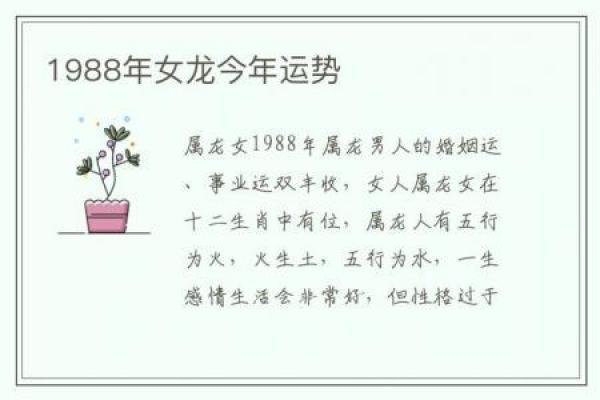 属龙运程指南：从爱情到事业的运势透视