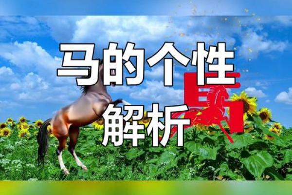 属马的命运解读：性格、事业与感情分析