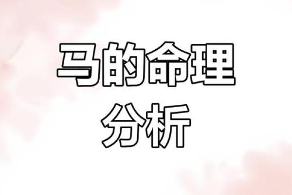 属马的命运解读：性格、事业与感情分析