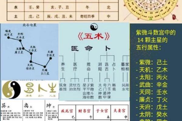 彬字五行属性解析及其命理影响