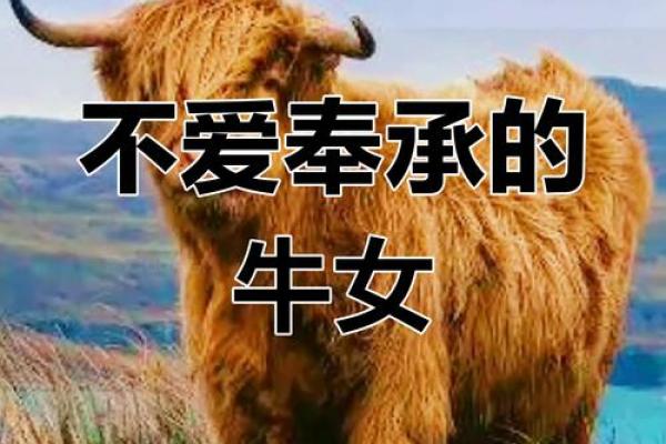 牛女本命年如何赢得更多的支持和认可