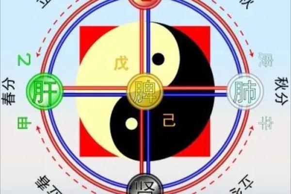 阴阳命理解析：什么是命带阴阳