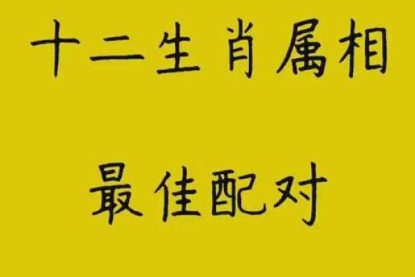 探究牛蛇婚姻中的相互吸引与挑战